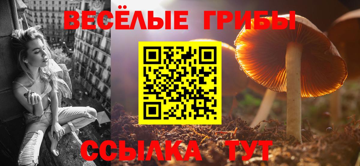 Псилоцибиновые грибы GOLDEN TEACHER  Псилоцибиновые грибы Psilocybine cubensis  Шахты  где можно купить наркотик  Вход с VPN 